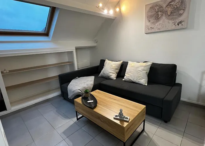 Joli Studio De 25 M2 Proche De Disney